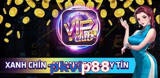 pkvip88