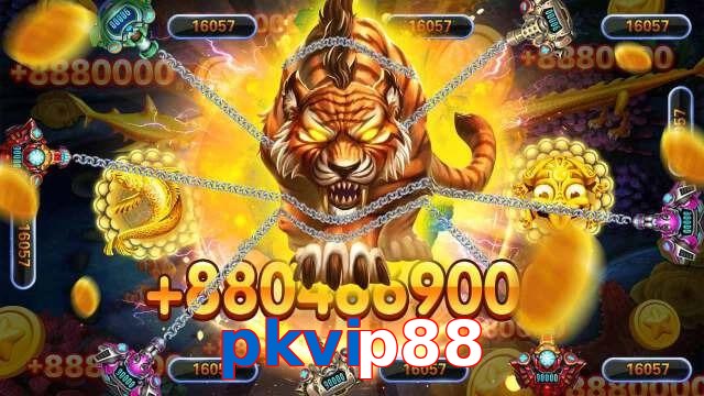 pkvip88